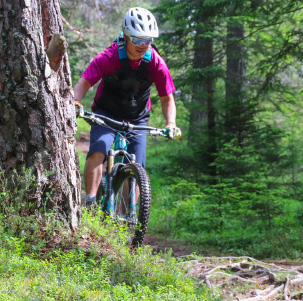 Mountainbiken in den Lärchenwäldern der Südalpen