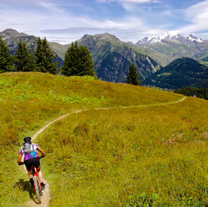 MTB su un singletrack nel Beaufortain con il Monte Bianco in fondo