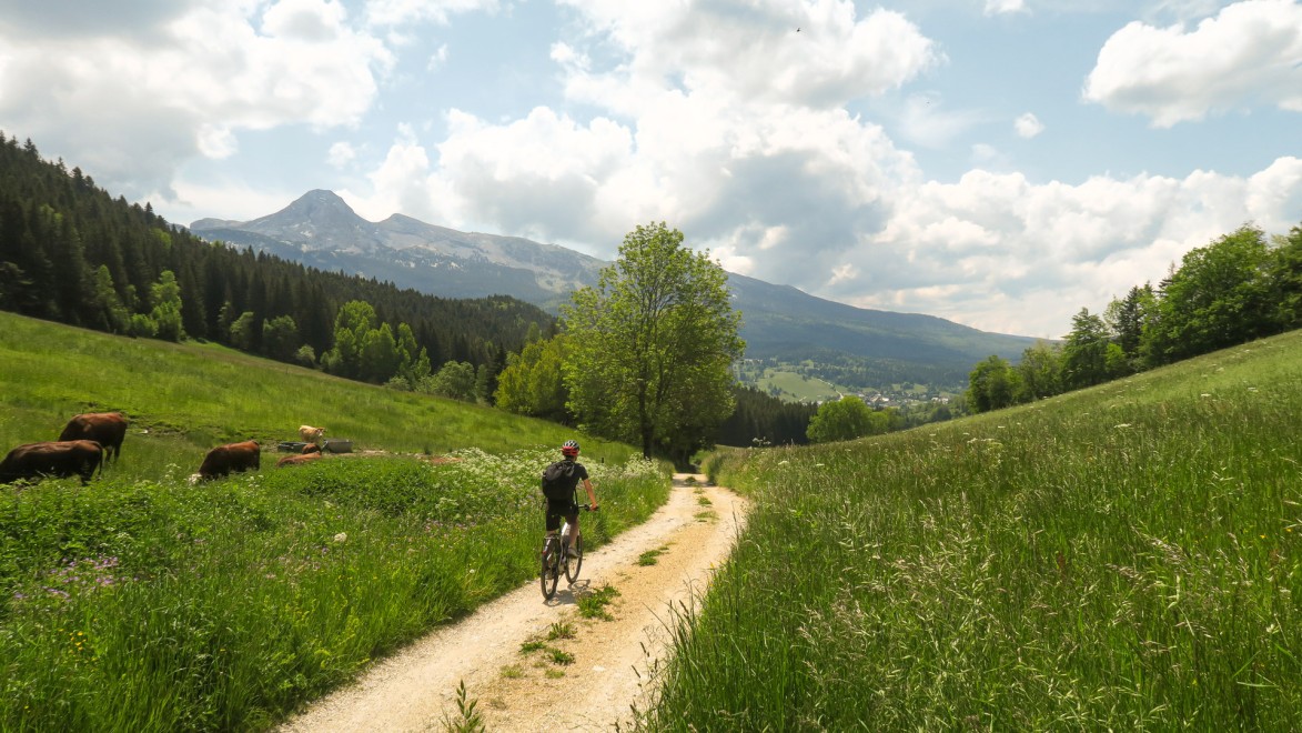 ciclistee che pedala lungo i sentier del vercors