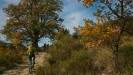 Provenza : La traversata della Provenza in E-MTB