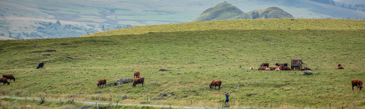 Circuito sterrato a stella nel cuore del Cantal, in Francia
