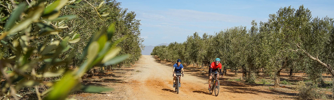 l'avventura in gravel en andalusia