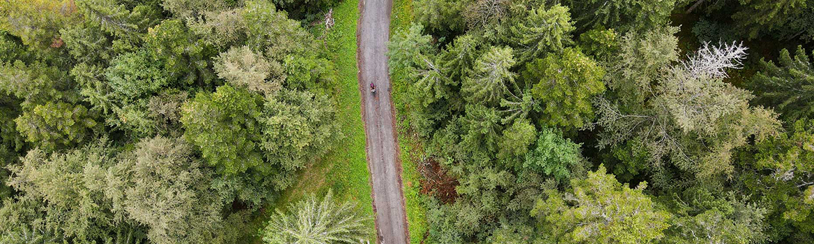 Ciclista gravel su una pista nella foresta del Giura